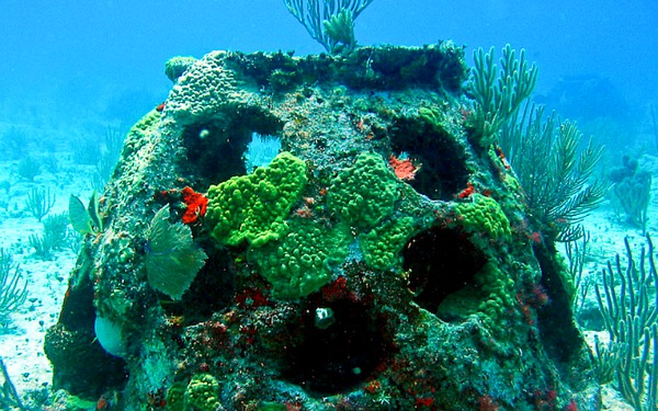 Eternal Reefs burial at sea reef ball ok