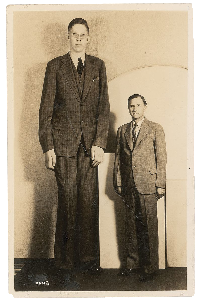 Robert Wadlow